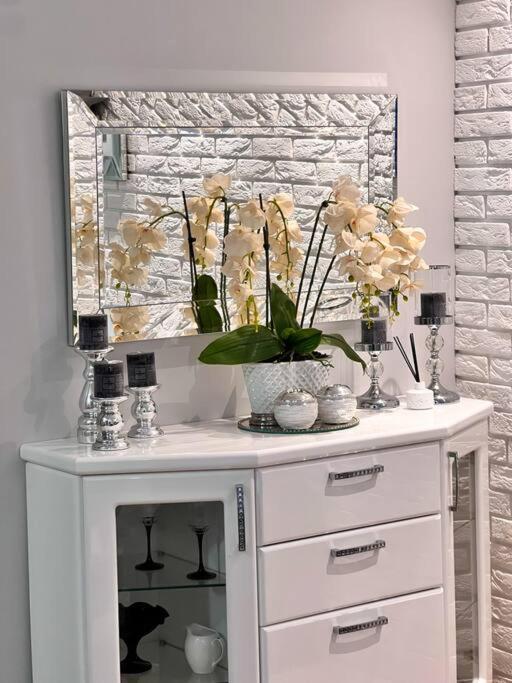 Apartament Zamojski Mlynska Zamość Extérieur photo