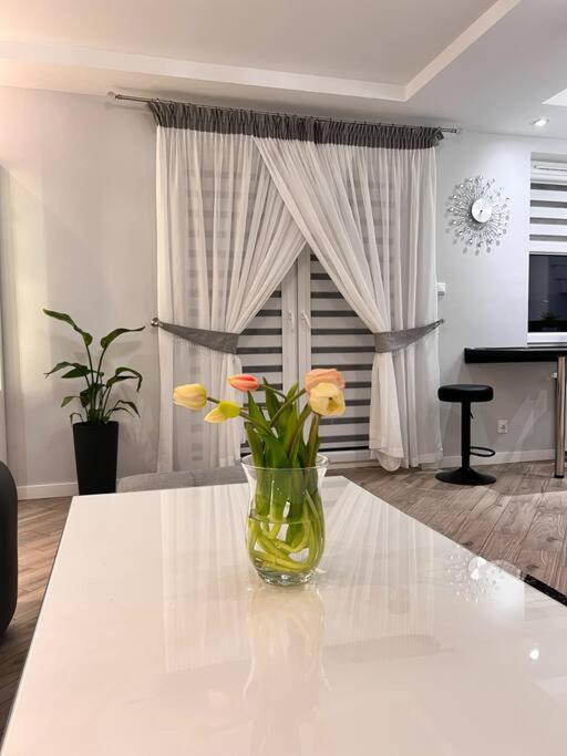Apartament Zamojski Mlynska Zamość Extérieur photo