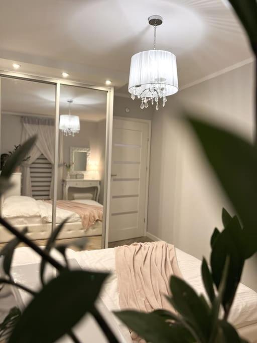 Apartament Zamojski Mlynska Zamość Extérieur photo