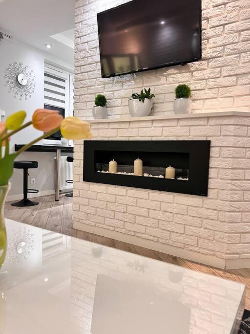 Apartament Zamojski Mlynska Zamość Extérieur photo