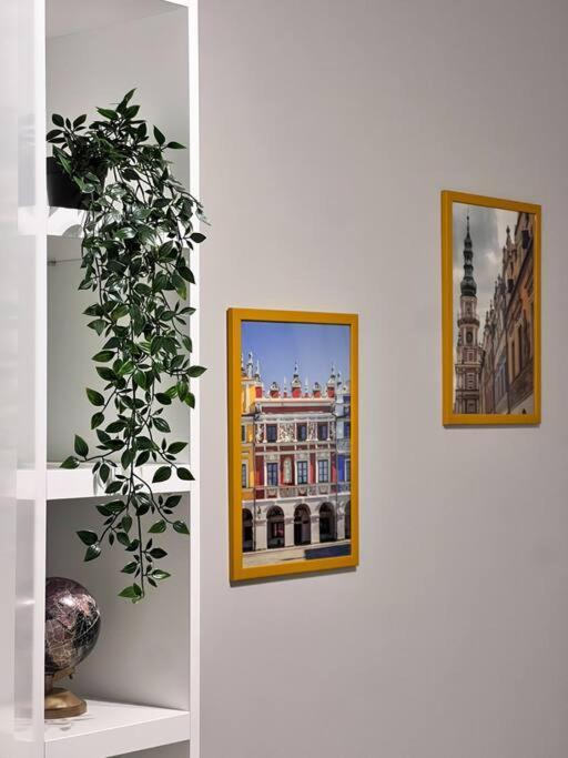 Apartament Zamojski Mlynska Zamość Extérieur photo