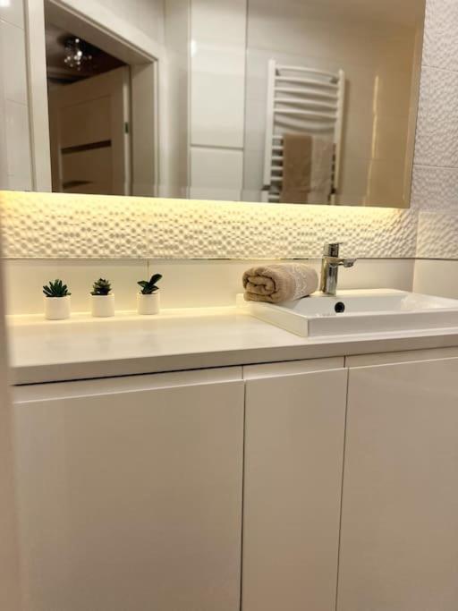Apartament Zamojski Mlynska Zamość Extérieur photo