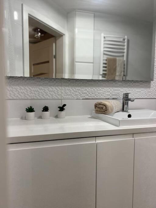 Apartament Zamojski Mlynska Zamość Extérieur photo