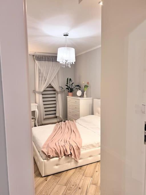 Apartament Zamojski Mlynska Zamość Extérieur photo